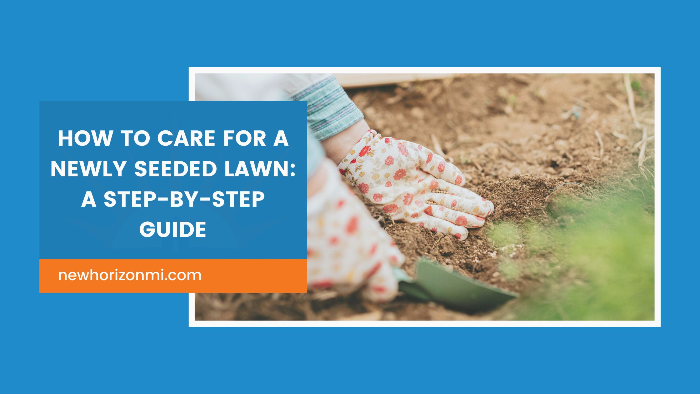 How to Care for a Newly Seeded Lawn: A Step-by-Step Guide - New Horizon ...