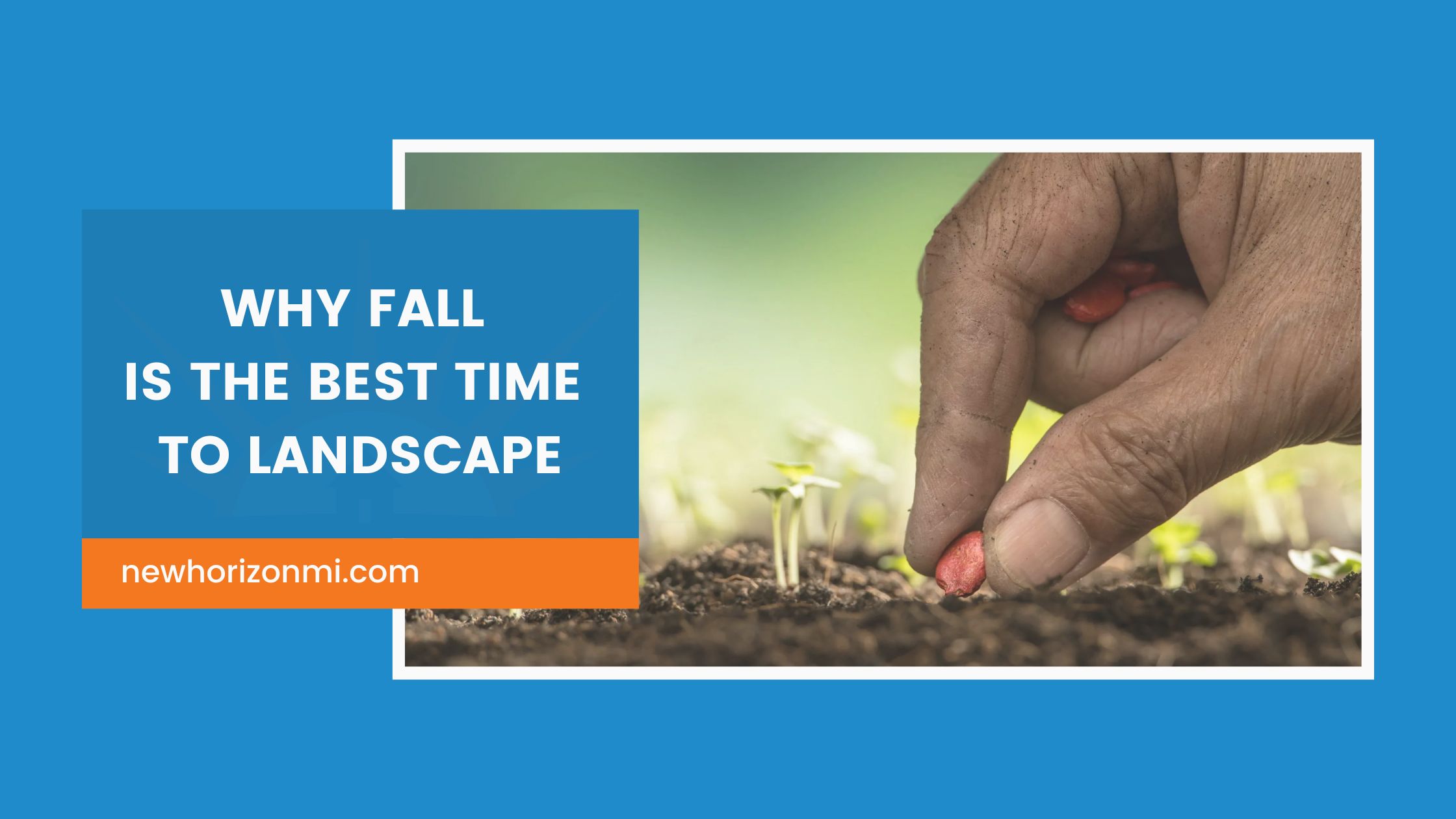 Why Fall Is the Best Time to Landscape 🍂 - New Horizon Property Management
